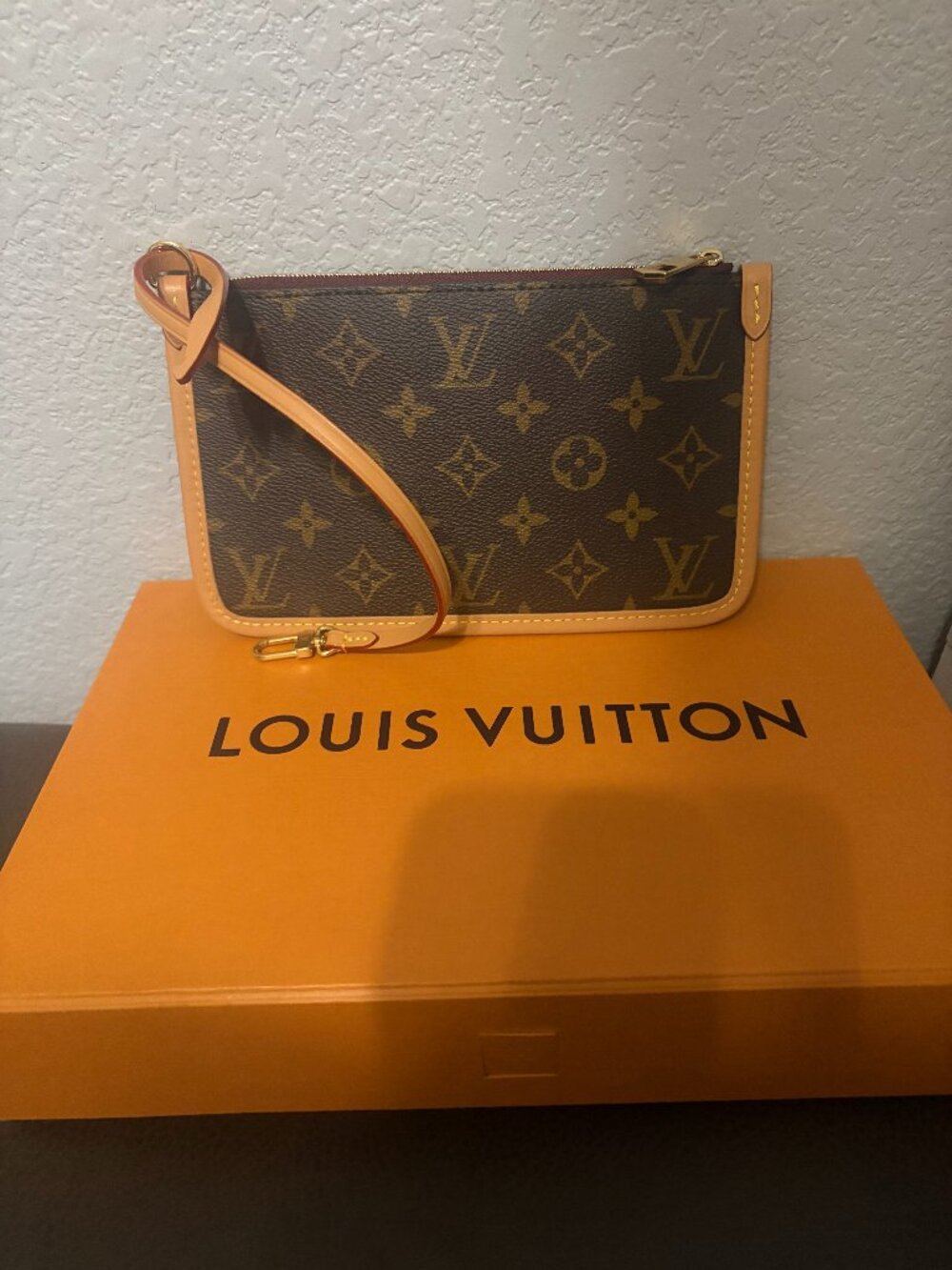 Louis Vuitton Women’s CarryAll Pouch – Excellent Condition- (Microchipped 2026)
